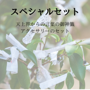 スペシャルセット